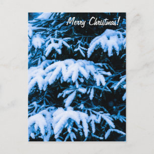 Winter Snow Christmas Tree Holiday Postcard