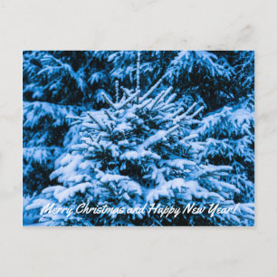 Winter Snow Christmas Tree Holiday Postcard