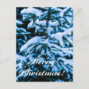 Winter Snow Christmas Tree Holiday Postcard