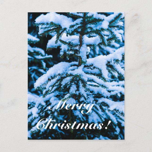 Winter Snow Christmas Tree Holiday Postcard (Front)