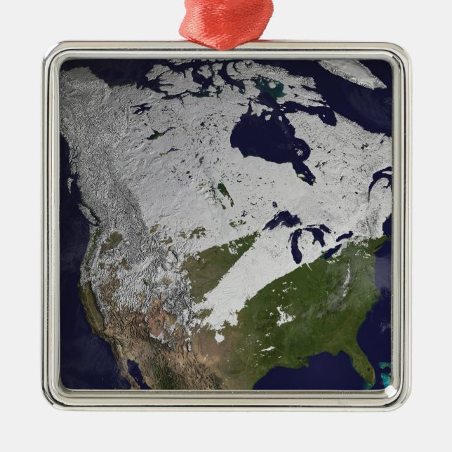 Winter Snow Cover in the Northern Hemisphere Metal Tree Decoration (Front)