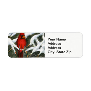 Winter snow covered trees cardinal red bird
