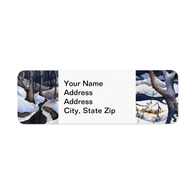 Winter snow covered winter stream dark trees drift (Front)