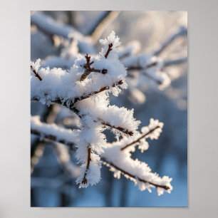 Winter Snow Frosty Tree Branch Sunlight Poster