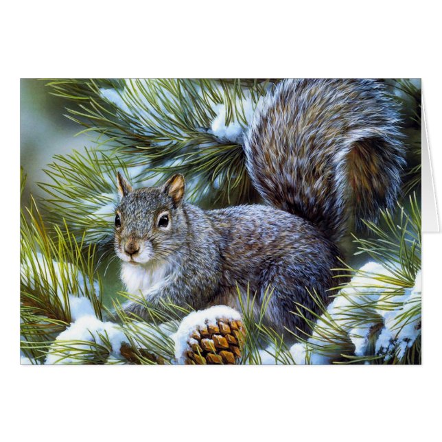 Winter Snow ... Grey (Grey) Squirrel (Front Horizontal)