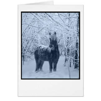 Winter snow horse