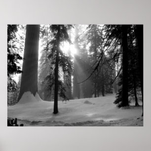 Winter Snow in Kings Canyon National Park Poster