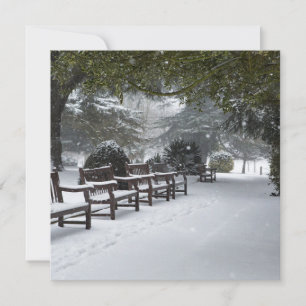Winter Snow in the Park Card