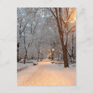 Winter Snow In the Park Holiday Card
