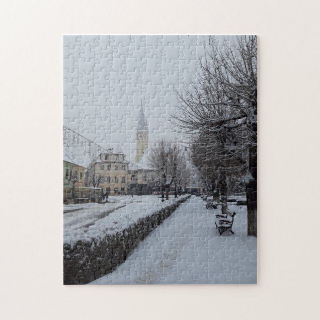 Winter Snow in Transylvania Jigsaw Puzzle (Vertical)