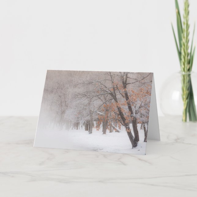 Winter Snow | Lake Kussharo Card (Front)