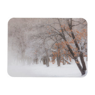 Winter Snow Lake Kussharo Magnet