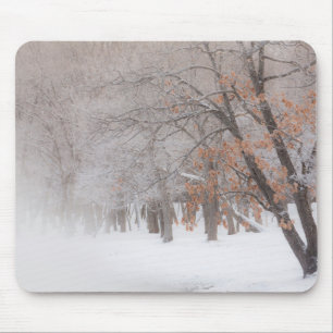 Winter Snow Lake Kussharo Mouse Mat