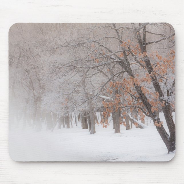 Winter Snow | Lake Kussharo Mouse Mat (Front)