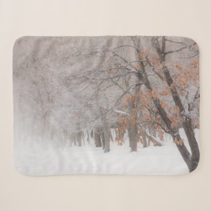 Winter Snow Lake Kussharo Sherpa Blanket