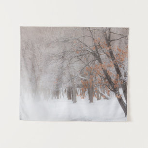 Winter Snow Lake Kussharo Tapestry