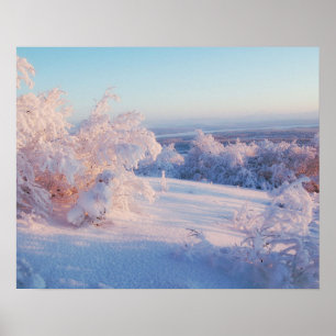 Winter Snow Landscape Photo Nature Wall Poster