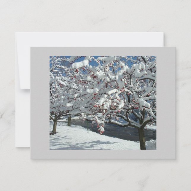 Winter Snow Let it Snow Holiday Card (Front)