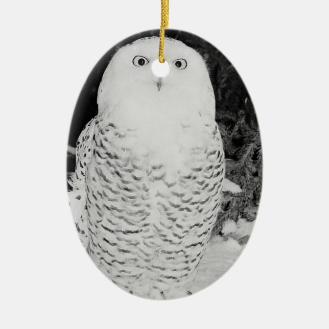 Winter Snow Owl Animal Wildlife Holiday Decoration (Front)