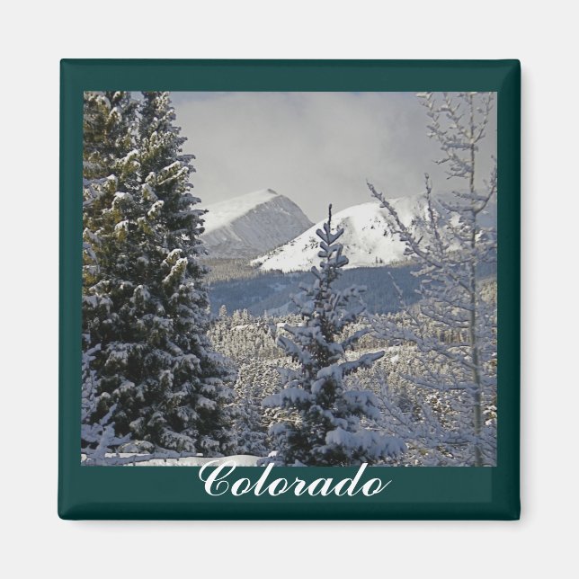 Winter Snow Scene,Colorado Magnet (Front)