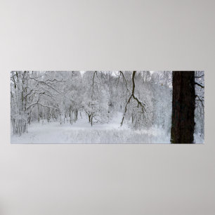 Winter Snow Scene Poster Print