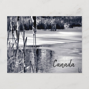 Winter Snow Shadows Black White Canada Souvenir Postcard