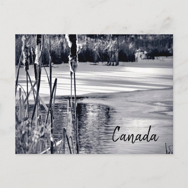 Winter Snow Shadows Black White Canada Souvenir Postcard (Front)