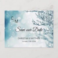 Winter Snow Snowflakes Wedding SAVE OUR DATE