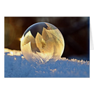 Winter Snow Soap Bubble with Leaves Inside