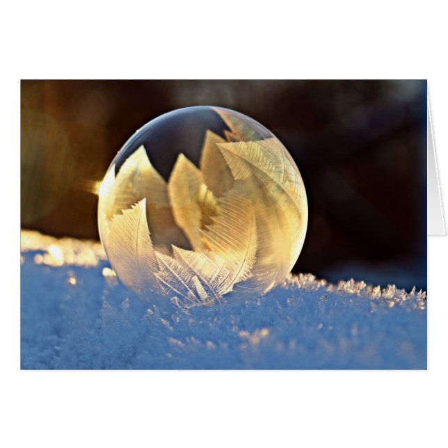 Winter Snow Soap Bubble with Leaves Inside (Front Horizontal)