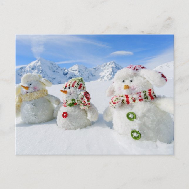 Winter, Snow, Sun And Fun, Christmas Holiday Postcard (Front)