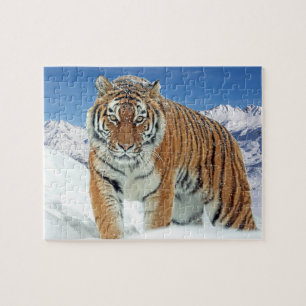 Winter Snow Tiger Mountains Animal Nature Jigsaw Puzzle