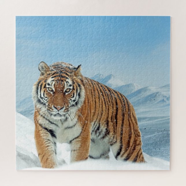 Winter Snow Tiger Mountains Animal Photo Trendy Jigsaw Puzzle (Horizontal)