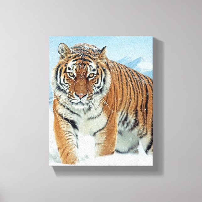 Winter Snow Tiger Mountains Nature Photo Canvas (Front)