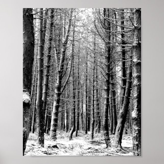 Winter snow woodland forest poster (Front)