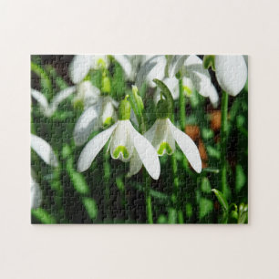 Winter Snowdrops Spring Flower Bulb Bouquet Jigsaw Puzzle