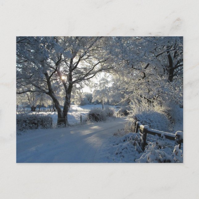Winter Snowfall Postcard (Front)