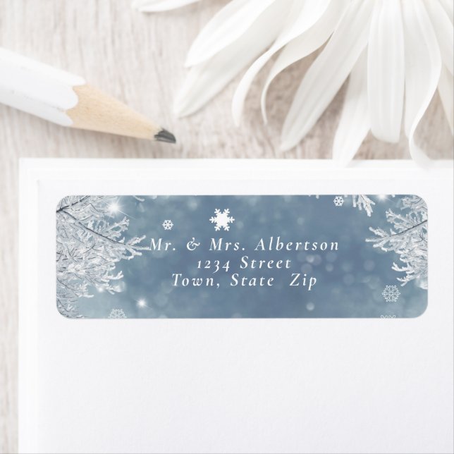 Winter Snowflakes Blue & White Return Address (Insitu)