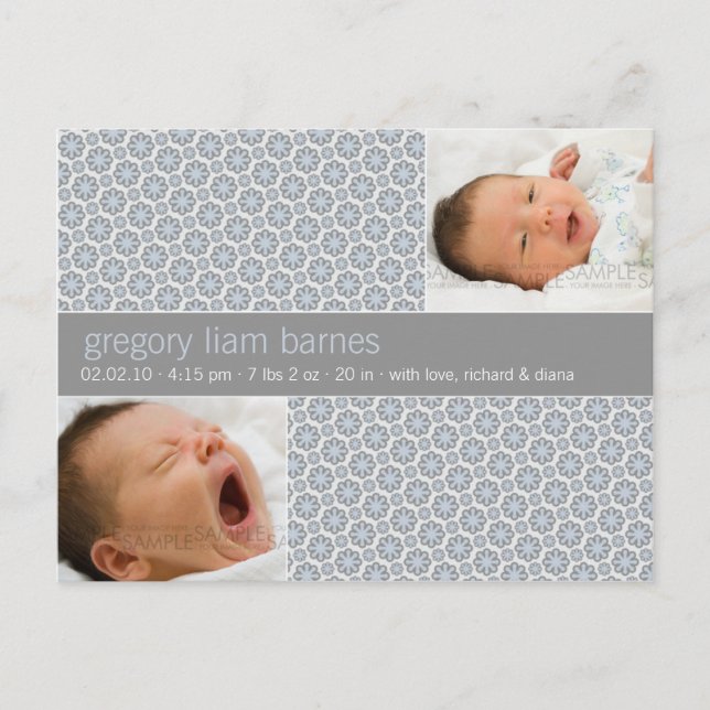 Winter Snowflakes Grey • Baby Announcement (Front)