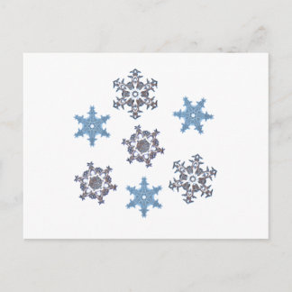 Winter snowflakes postcard