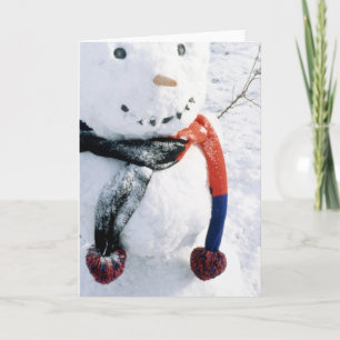 Winter  Snowman Cards and Stickers
