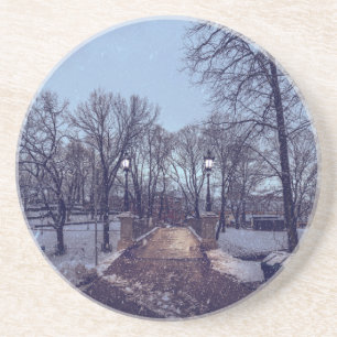 Winter snowy city park in the evening coaster