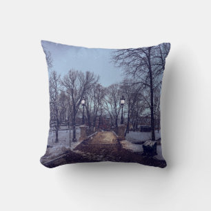 Winter snowy city park in the evening cushion