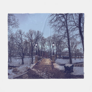 Winter snowy city park in the evening fleece blanket