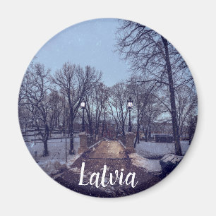 Winter snowy city park in the evening magnet