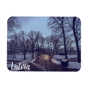 Winter snowy city park in the evening magnet