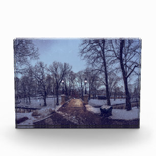 Winter snowy city park in the evening photo block