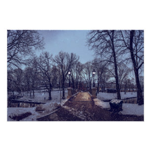 Winter snowy city park in the evening poster