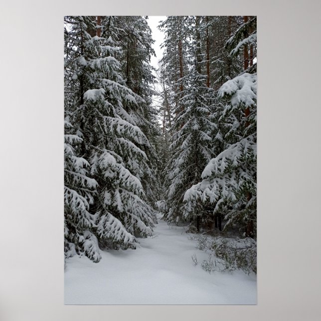 Winter Snowy Evergreen Forest Customise Poster (Front)