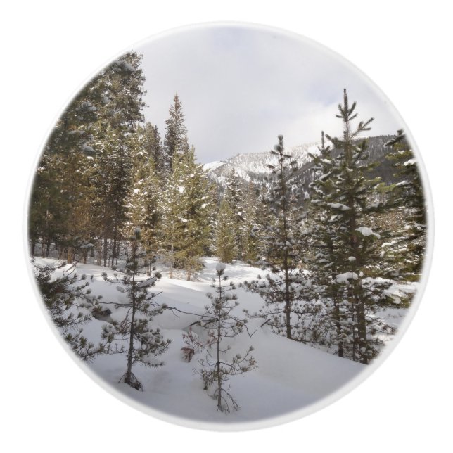 Winter Snowy Mountain Scene in Montana Ceramic Knob (Front)